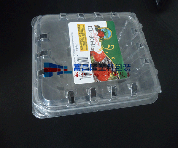 江苏水果对折吸塑包装盒